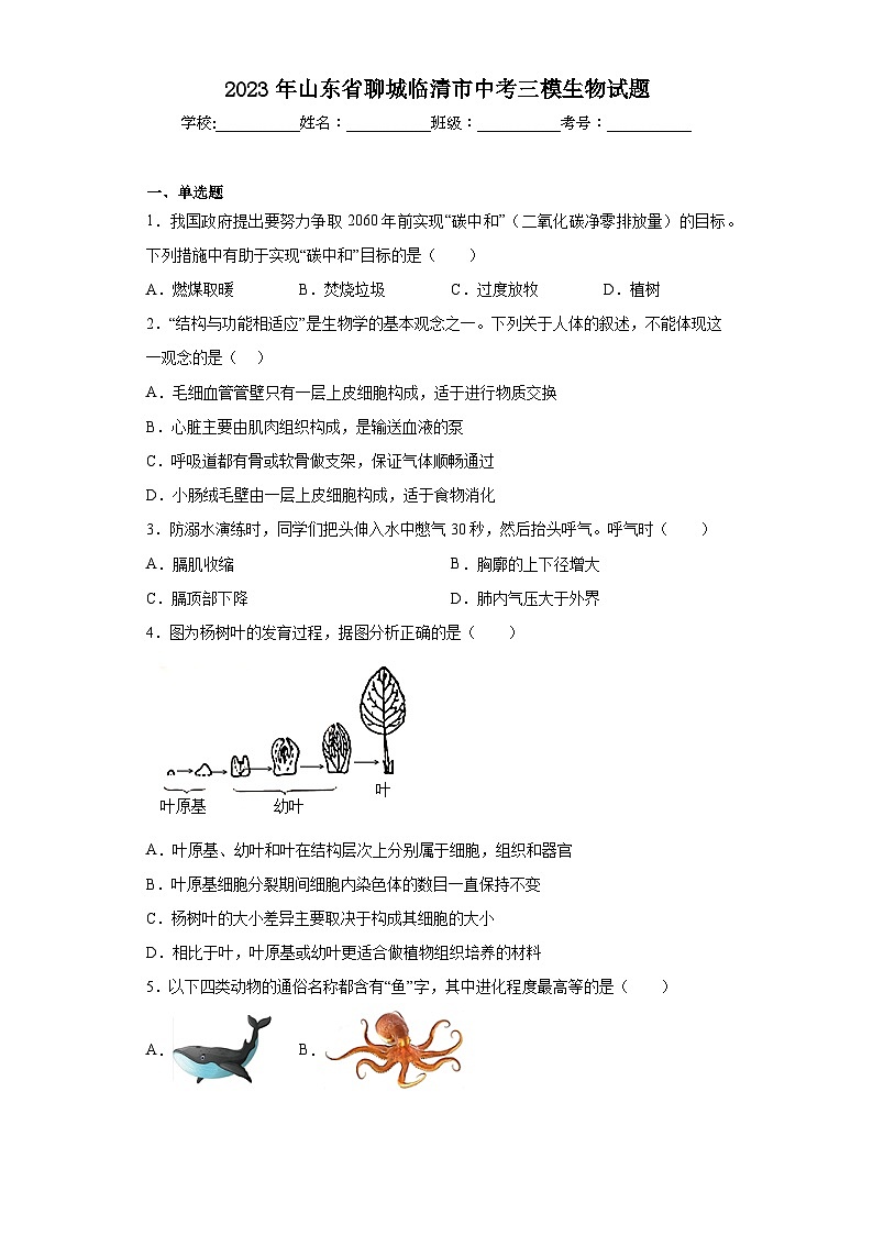 2023年山东省聊城临清市中考三模生物试题（含答案）01