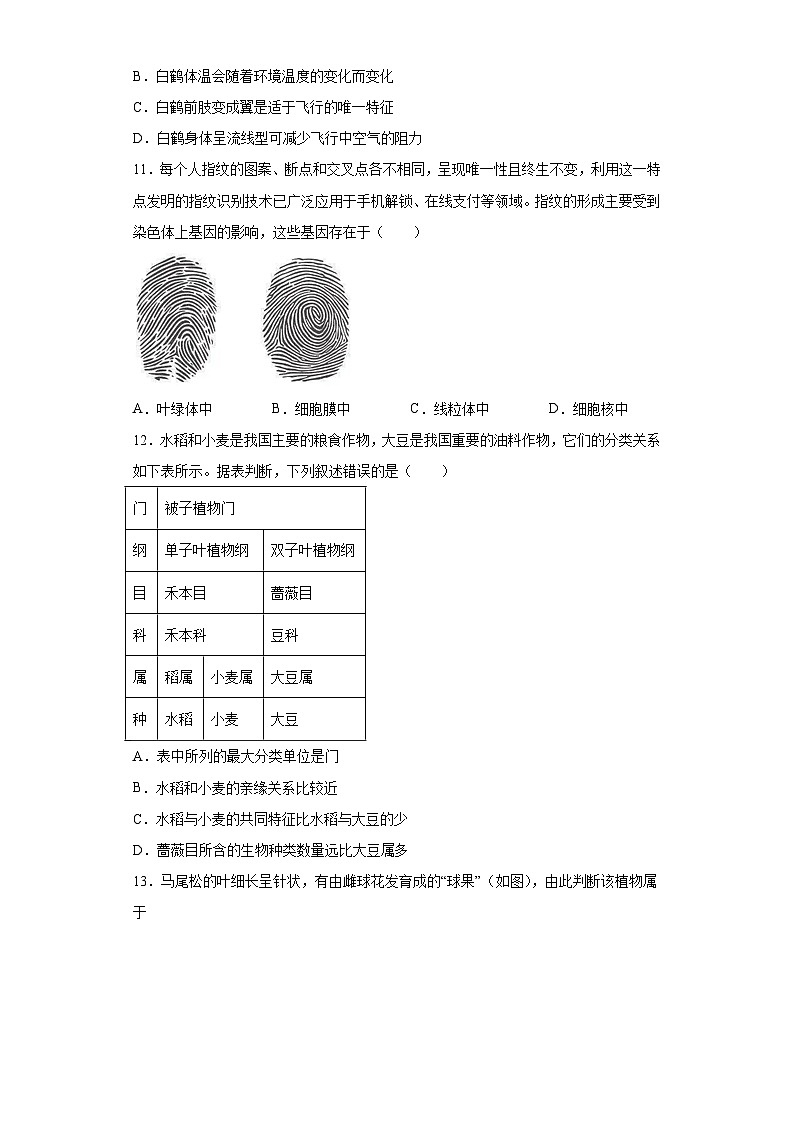 2023年山东省聊城临清市中考三模生物试题（含答案）03