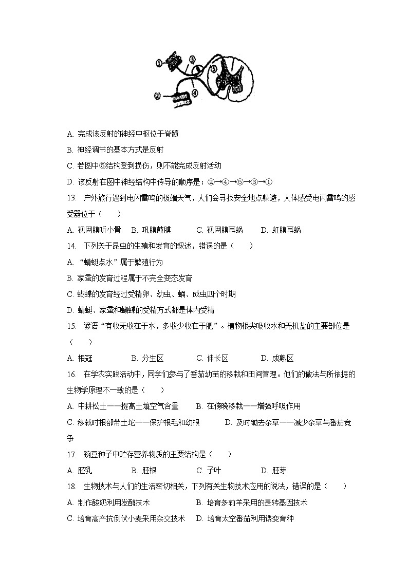 2022-2023学年宁夏银川十五中八年级（下）期中生物试卷（含解析）第3页