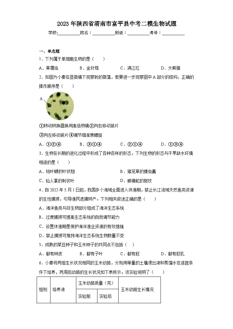 2023年陕西省渭南市富平县中考二模生物试题（含答案）01