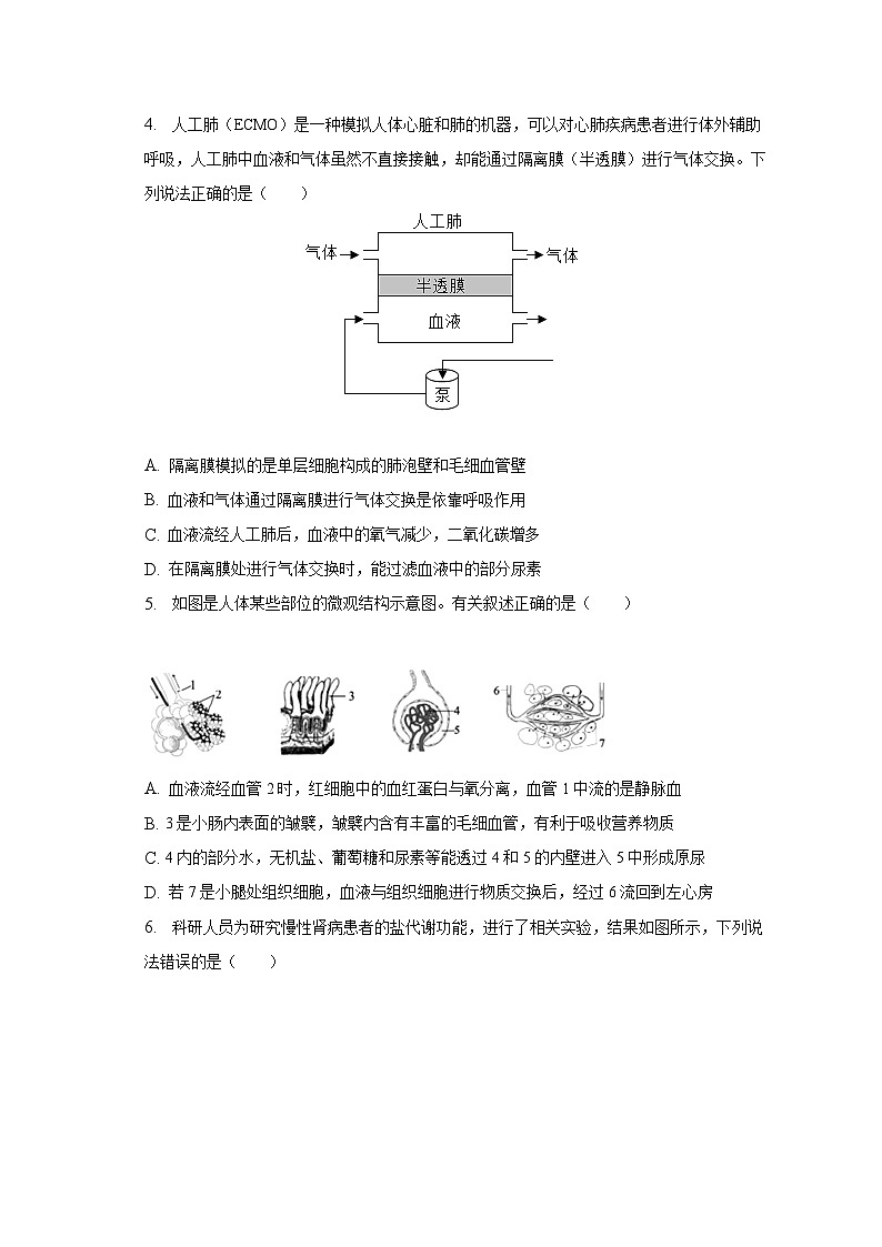 2022-2023学年山东省泰安市肥城市七年级（下）期中生物试卷（五四学制）（含解析）02