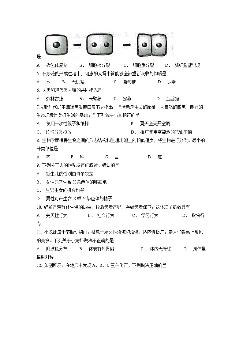 2023年辽宁省葫芦岛市建昌县八年级学科结业模拟考试（二）生物试题02