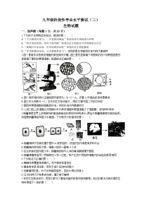 2023年山东菏泽市牡丹区中考三模生物试题