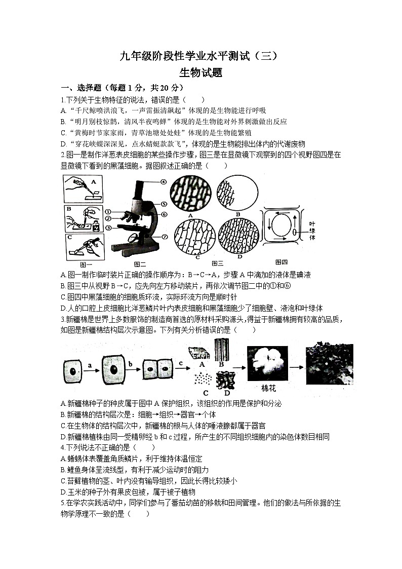 2023年山东菏泽市牡丹区中考三模生物试题01