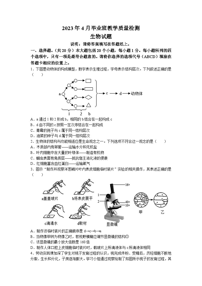 2023年山东省菏泽市曹县中考一模生物试题01