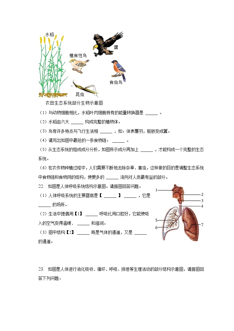 2023年河南省商丘市夏邑县中考生物二模试卷-普通用卷03