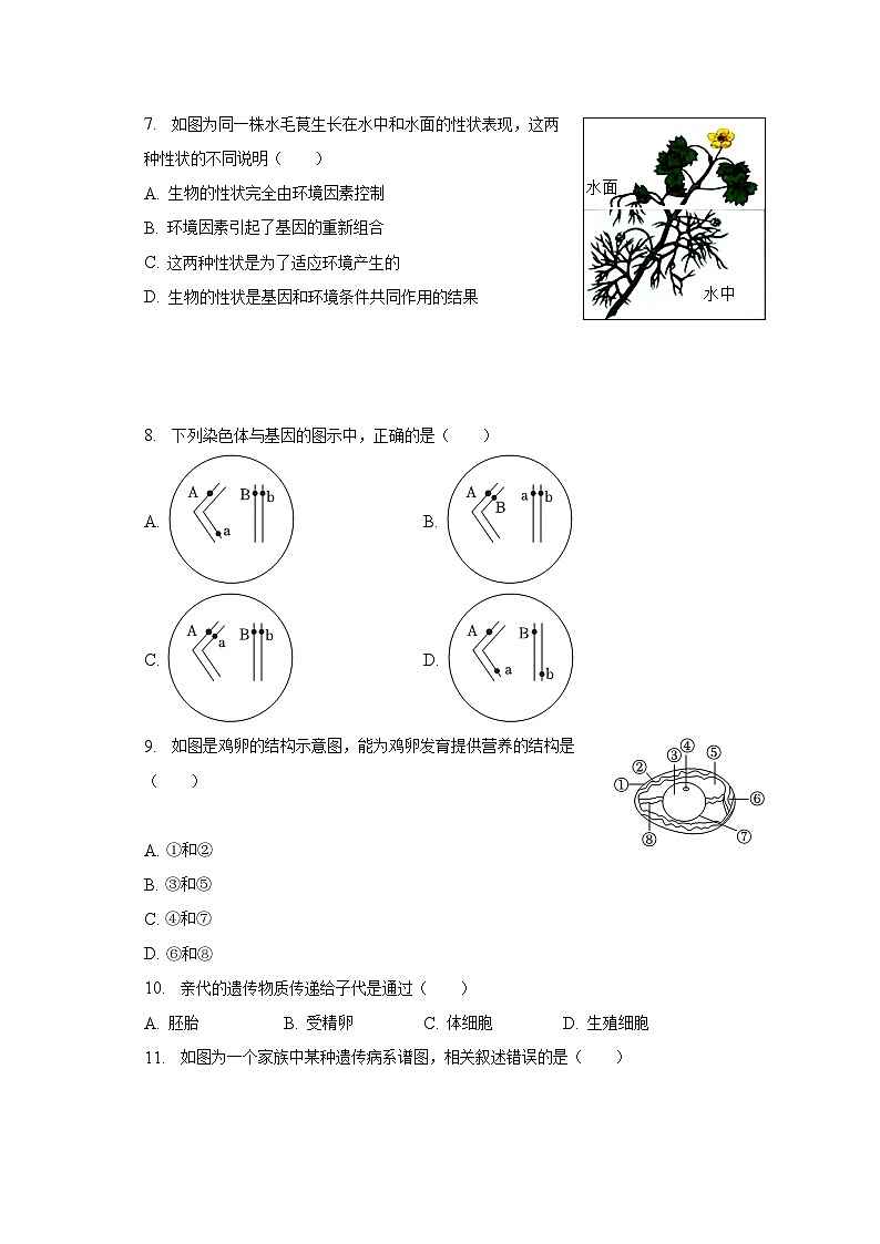 2022-2023学年河北省保定市雄县八年级（下）期中生物试卷-普通用卷02
