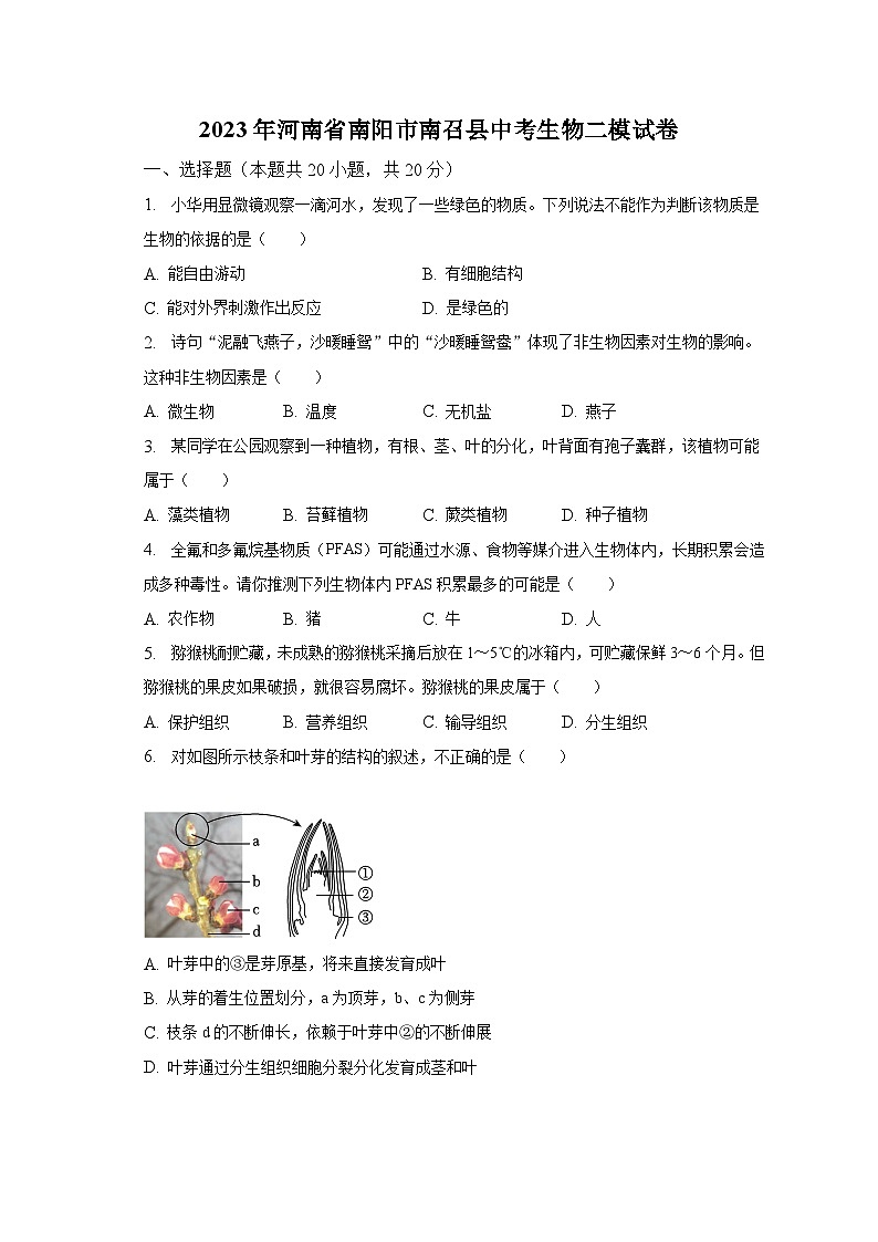 2023年河南省南阳市南召县中考生物二模试卷（含解析）第1页