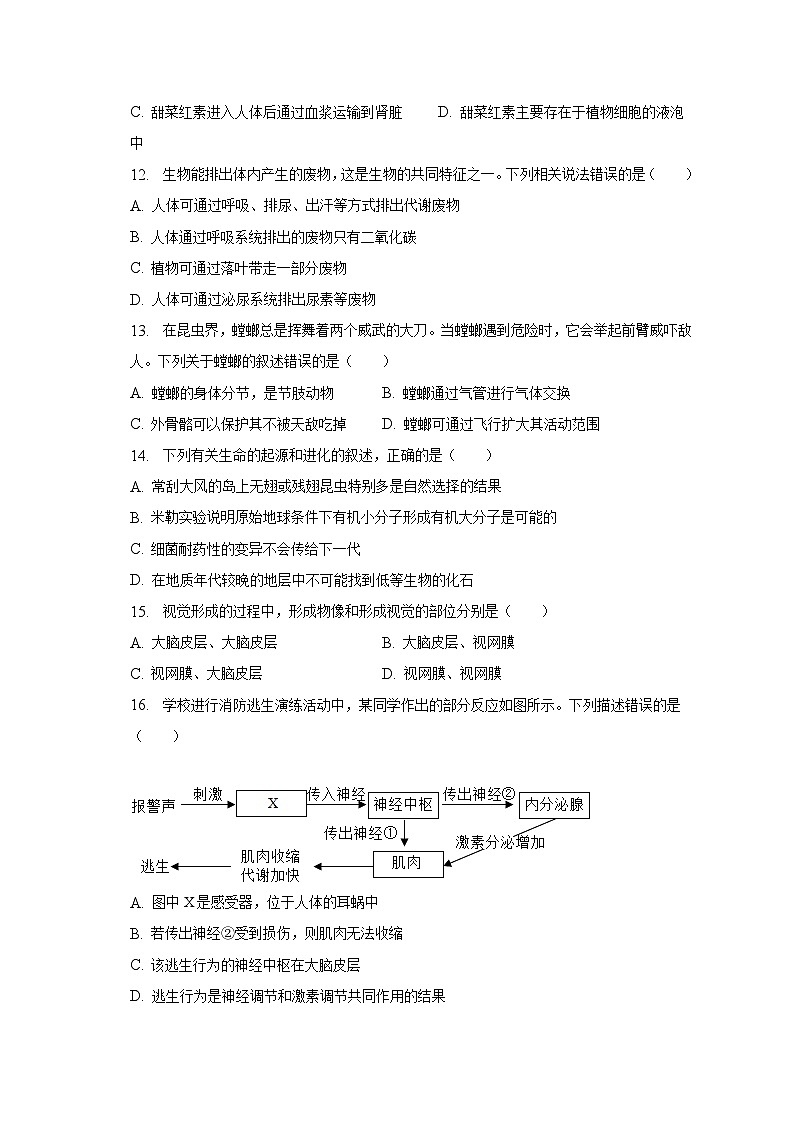 2023年河南省南阳市南召县中考生物二模试卷（含解析）第3页