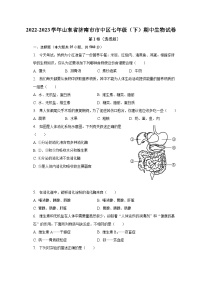 2022-2023学年山东省济南市市中区七年级（下）期中生物试卷（含解析）