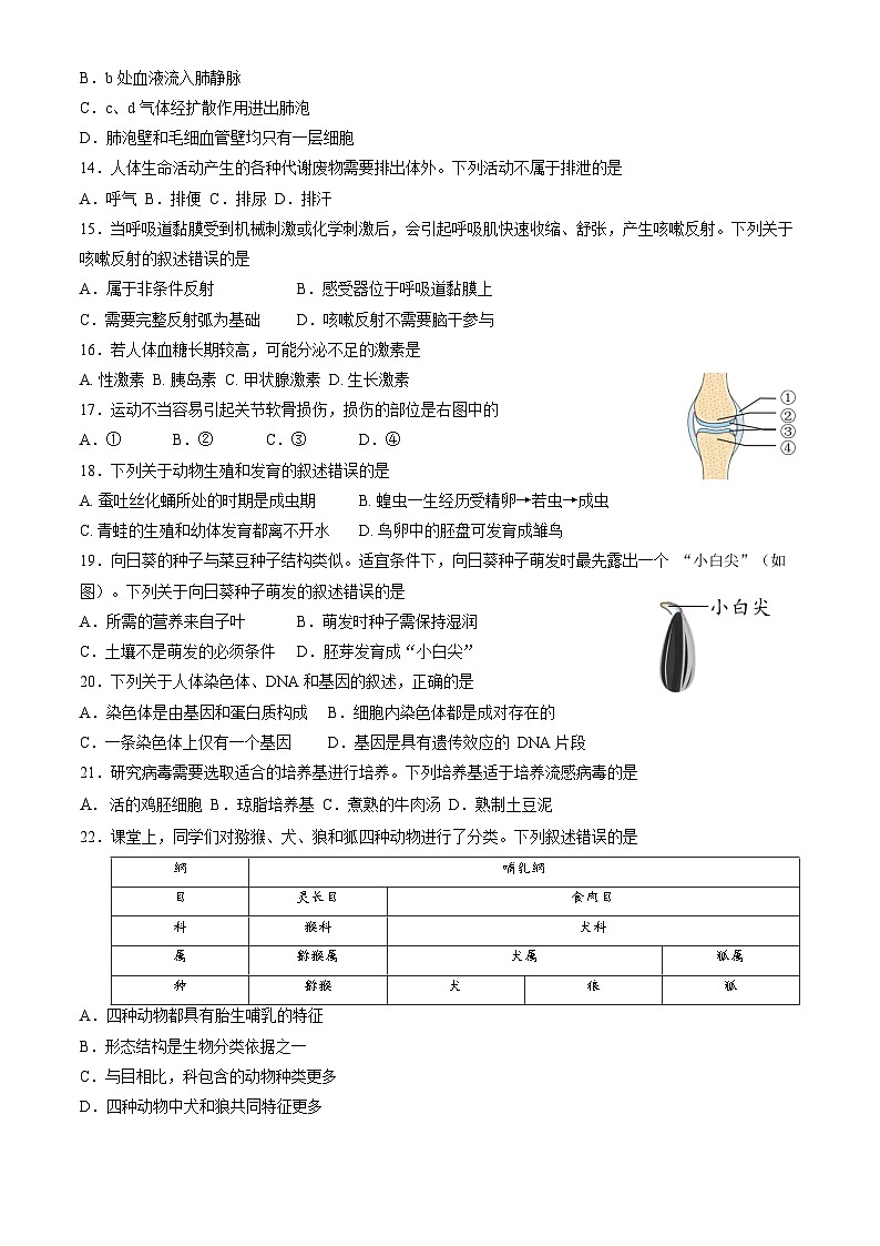 2023年北京市石景山区八年级学业考试二模生物试题（含答案）第3页