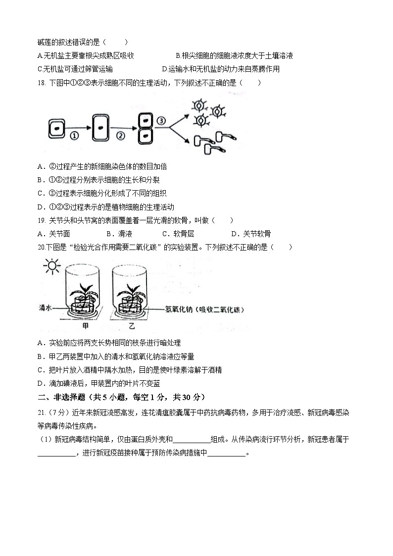 2023年河南省商丘市虞城县部分学校中考二模生物试题（含答案）03