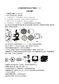 2023年山东菏泽市牡丹区中考三模生物试题（含答案）