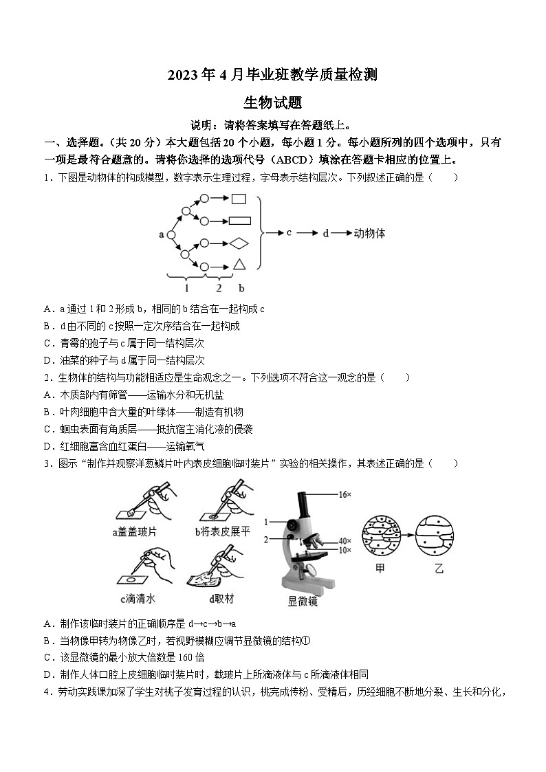 2023年山东省菏泽市曹县中考一模生物试题（含答案）01
