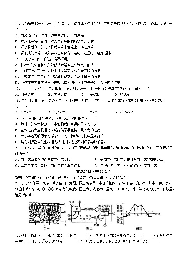 2023年山东省菏泽市鄄城县中考三模生物试题（含答案）03