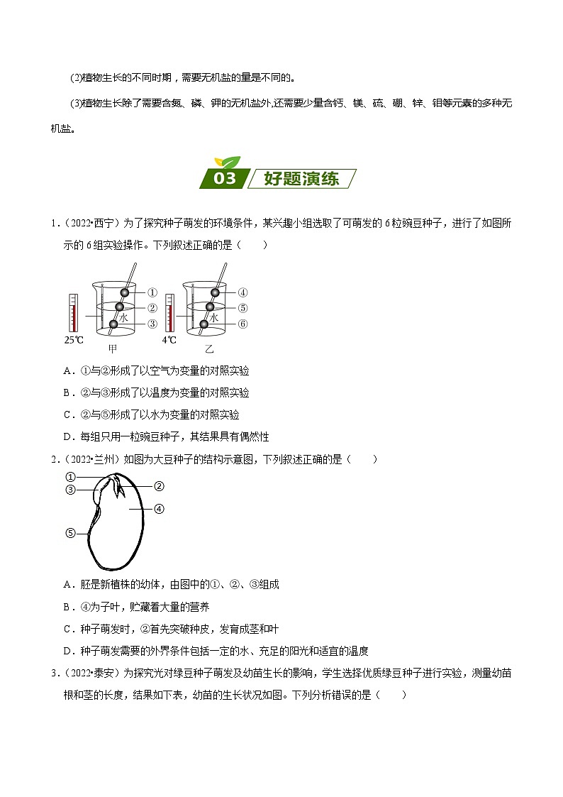 查补易混易错点03  绿色开花植物的一生-【查漏补缺】2023年中考生物三轮冲刺过关 试卷03