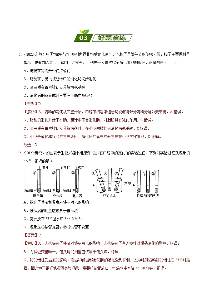 查补易混易错点05  人体的营养-【查漏补缺】2023年中考生物三轮冲刺过关 试卷03