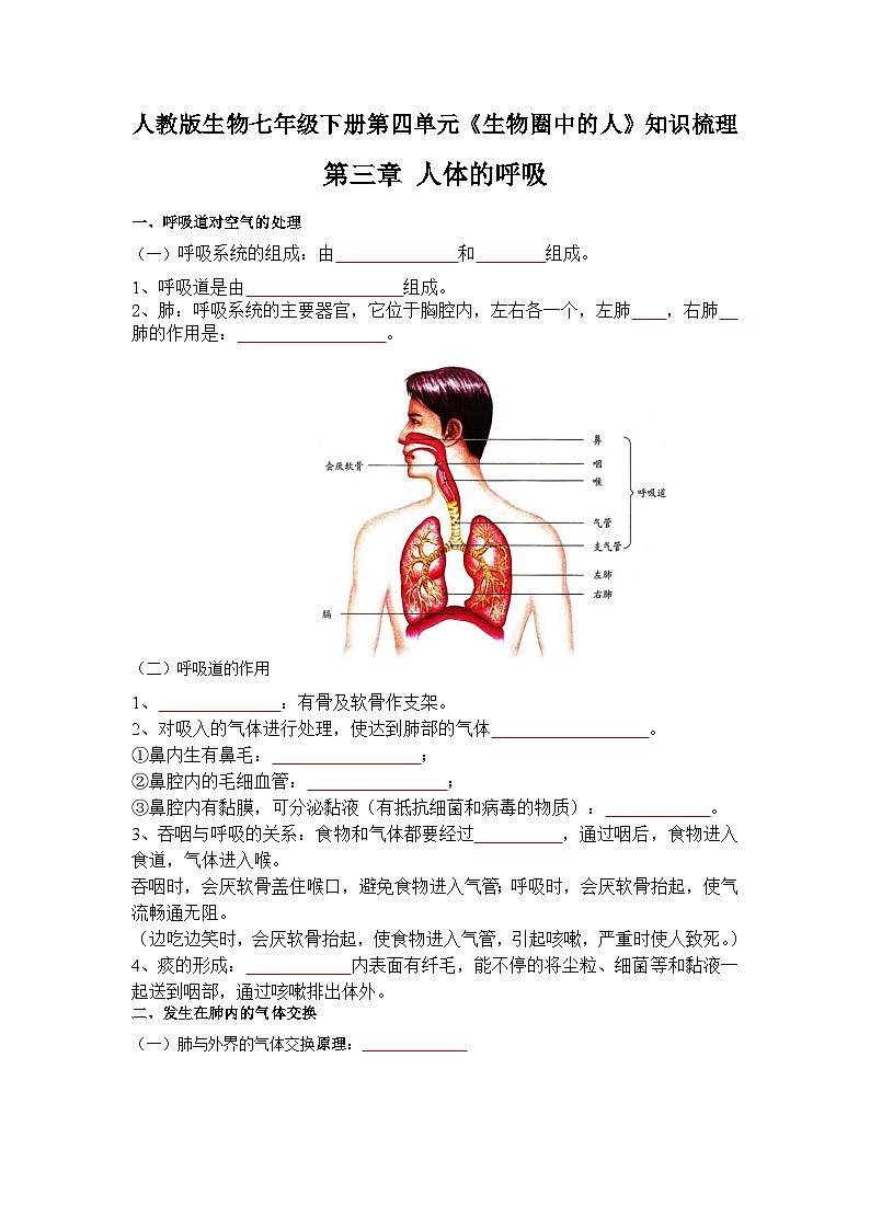 第三章 人体的呼吸——【期末复习】七年级下册生物章节知识点梳理（人教版七下）01