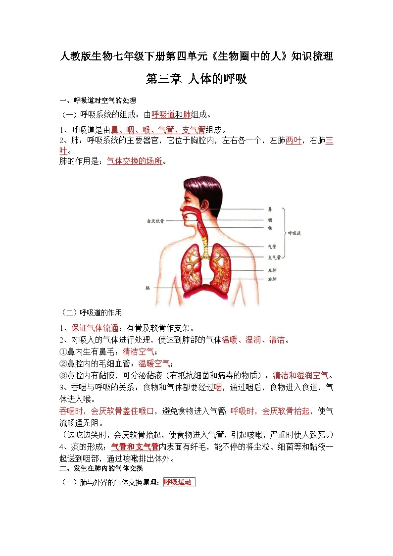 第三章 人体的呼吸——【期末复习】七年级下册生物章节知识点梳理（人教版七下）01