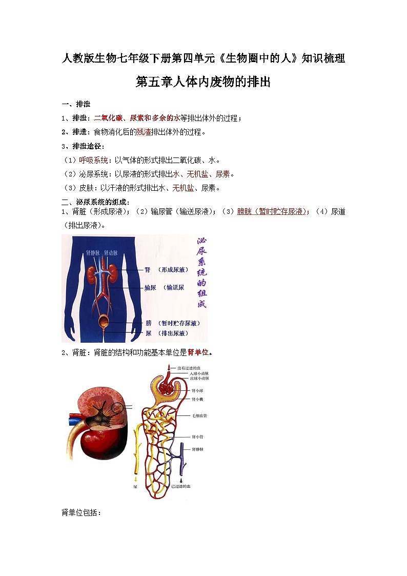 第五章 人体内废物的排出（教师版）第1页