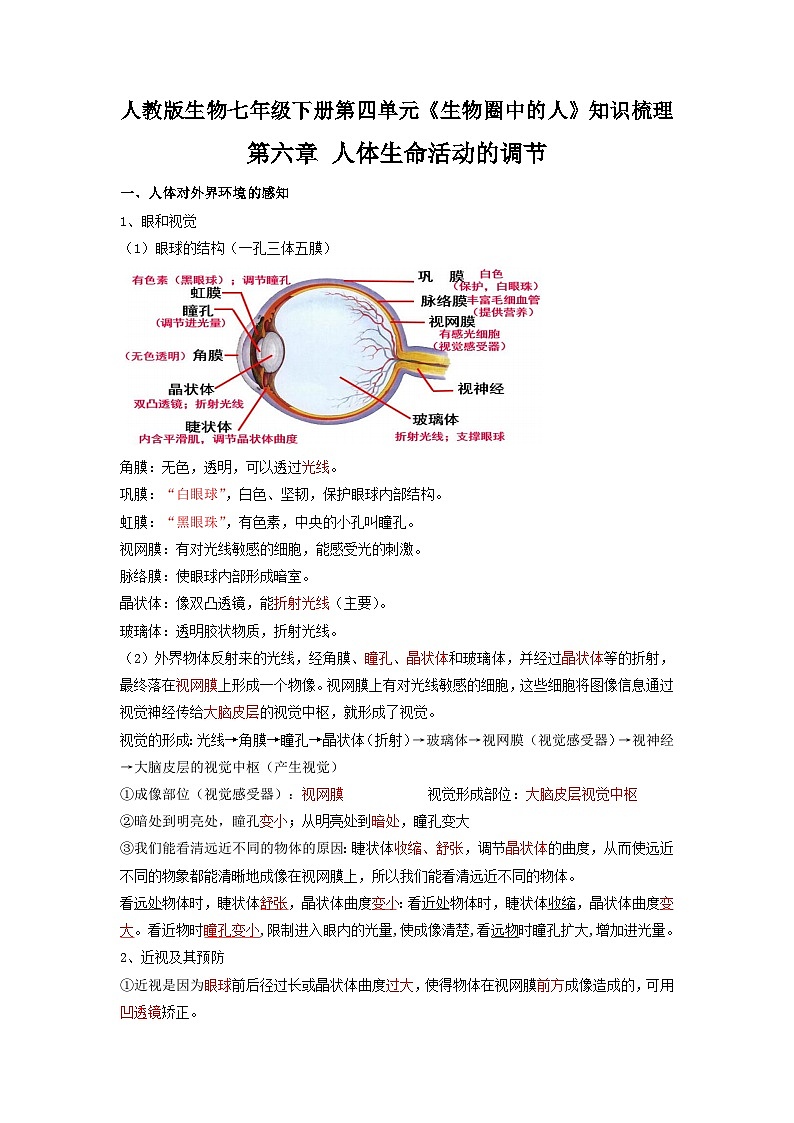 第六章 人体生命活动的调节（解析版）第1页