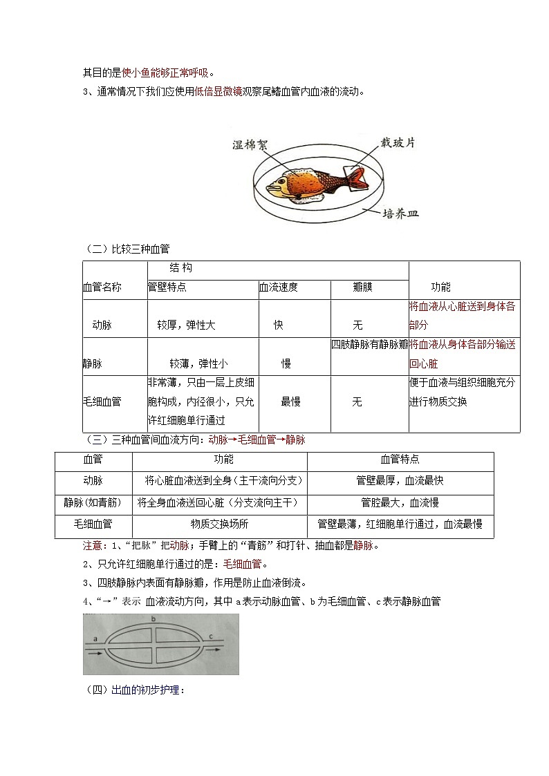 第四章 人体内物质的运输——【期末复习】七年级下册生物章节知识点梳理（人教版七下）02
