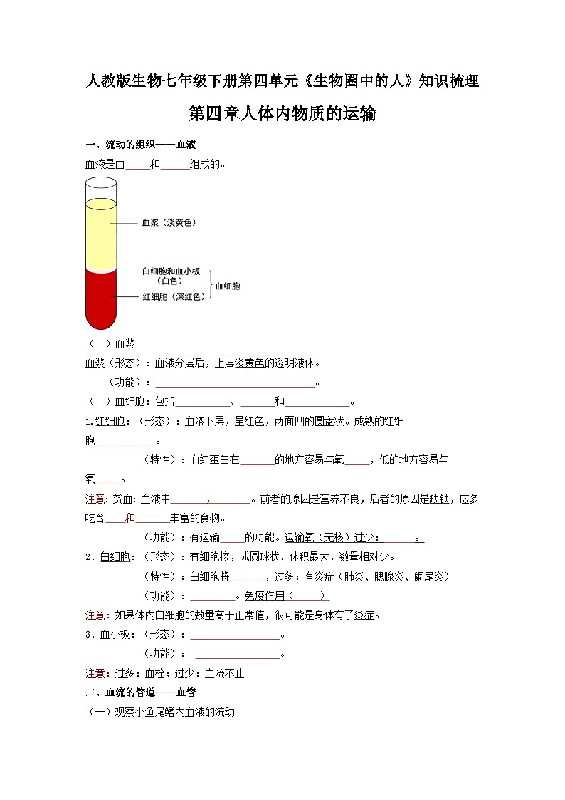 第四章 人体内物质的运输——【期末复习】七年级下册生物章节知识点梳理（人教版七下）01
