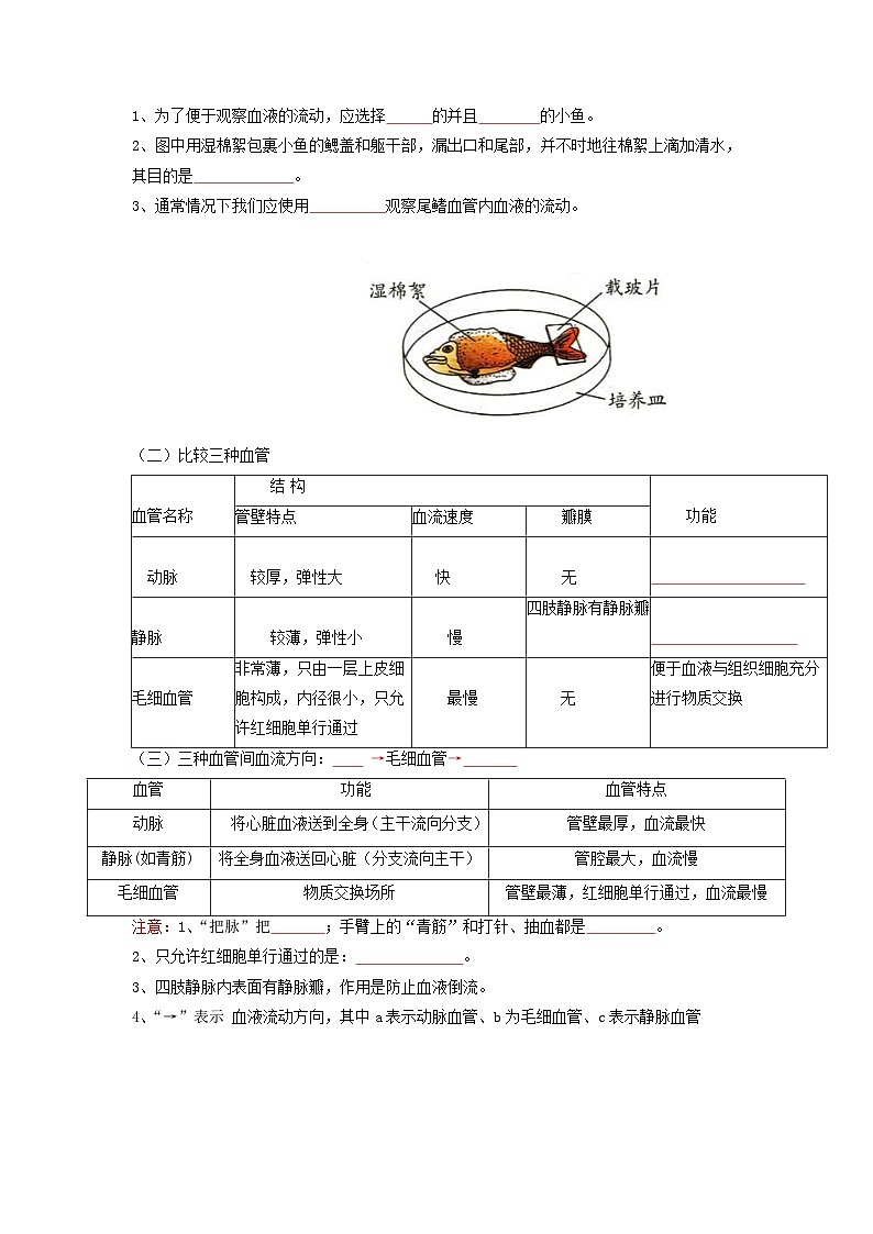 第四章 人体内物质的运输——【期末复习】七年级下册生物章节知识点梳理（人教版七下）02