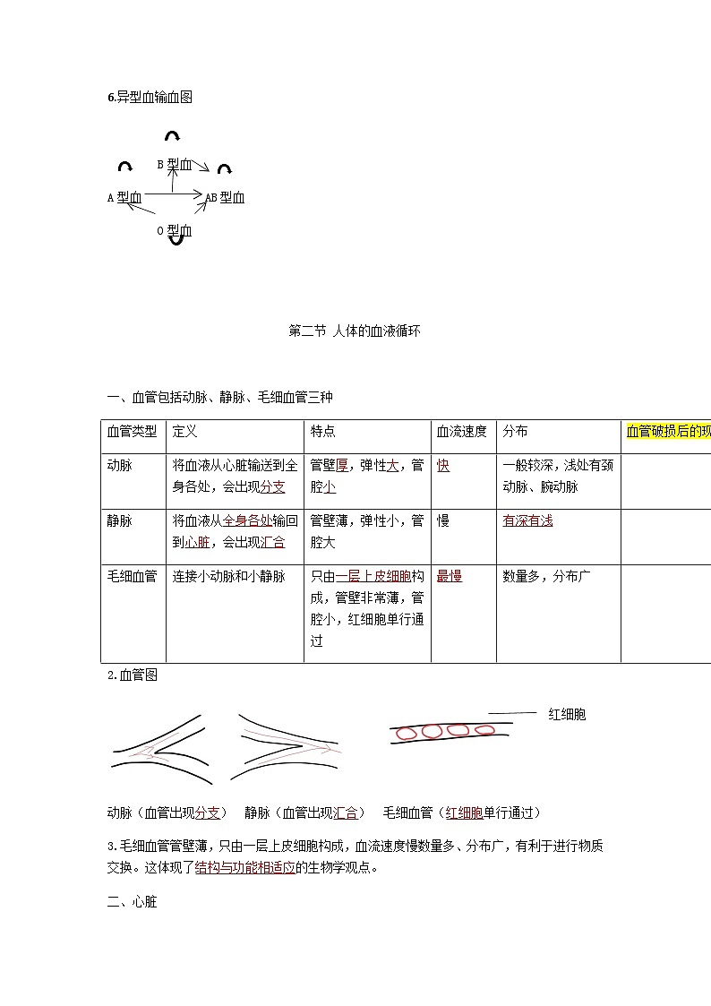 第十章一二节 人体内的物质运输和能量供给——【期末复习】七年级生物章节知识点梳理（苏教版七下）03