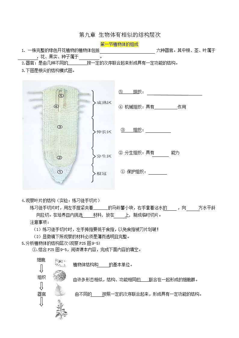 第九章 生物体有相似的结构层次——【期末复习】七年级生物章节知识点梳理（苏科版七下）01