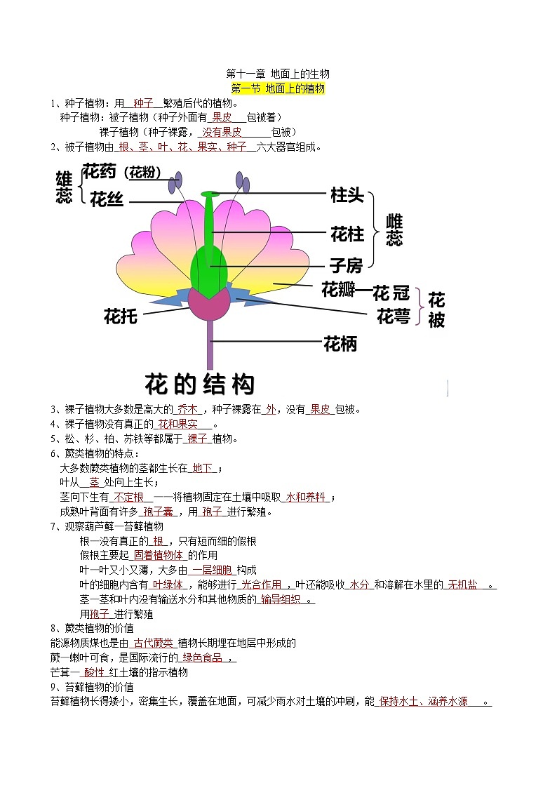 第十一章 地面上的生物——【期末复习】七年级生物章节知识点梳理（苏科版七下）01