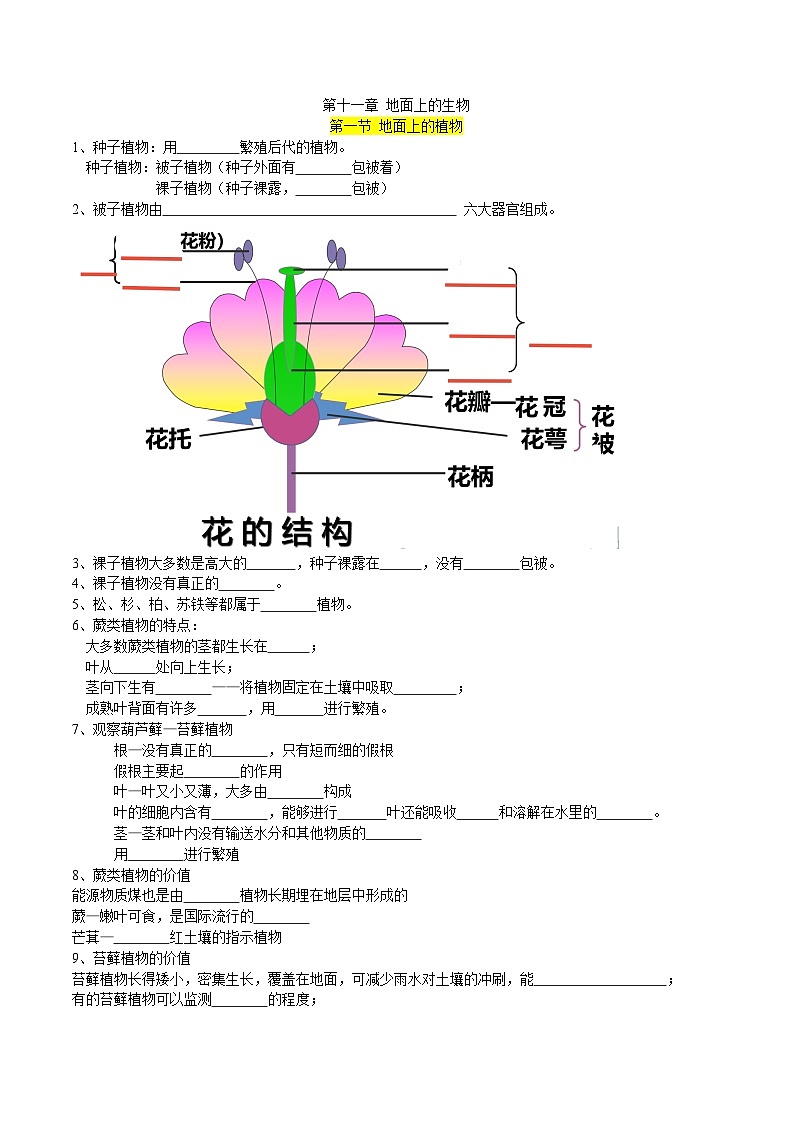 第十一章 地面上的生物——【期末复习】七年级生物章节知识点梳理（苏科版七下）01