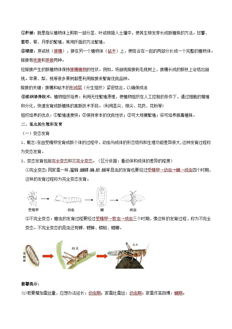 第一章 生物的生殖和发育——【期末复习】八年级生物章节知识点梳理（人教版八年级下册）02