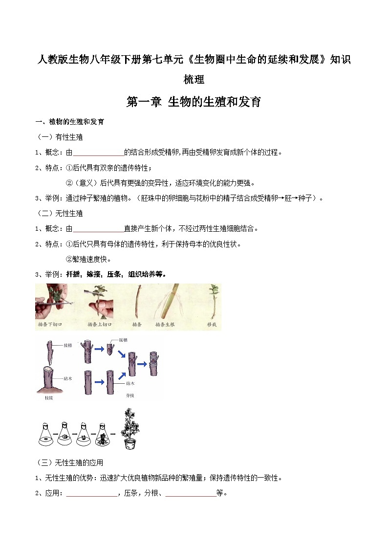 第一章 生物的生殖和发育——【期末复习】八年级生物章节知识点梳理（人教版八年级下册）01