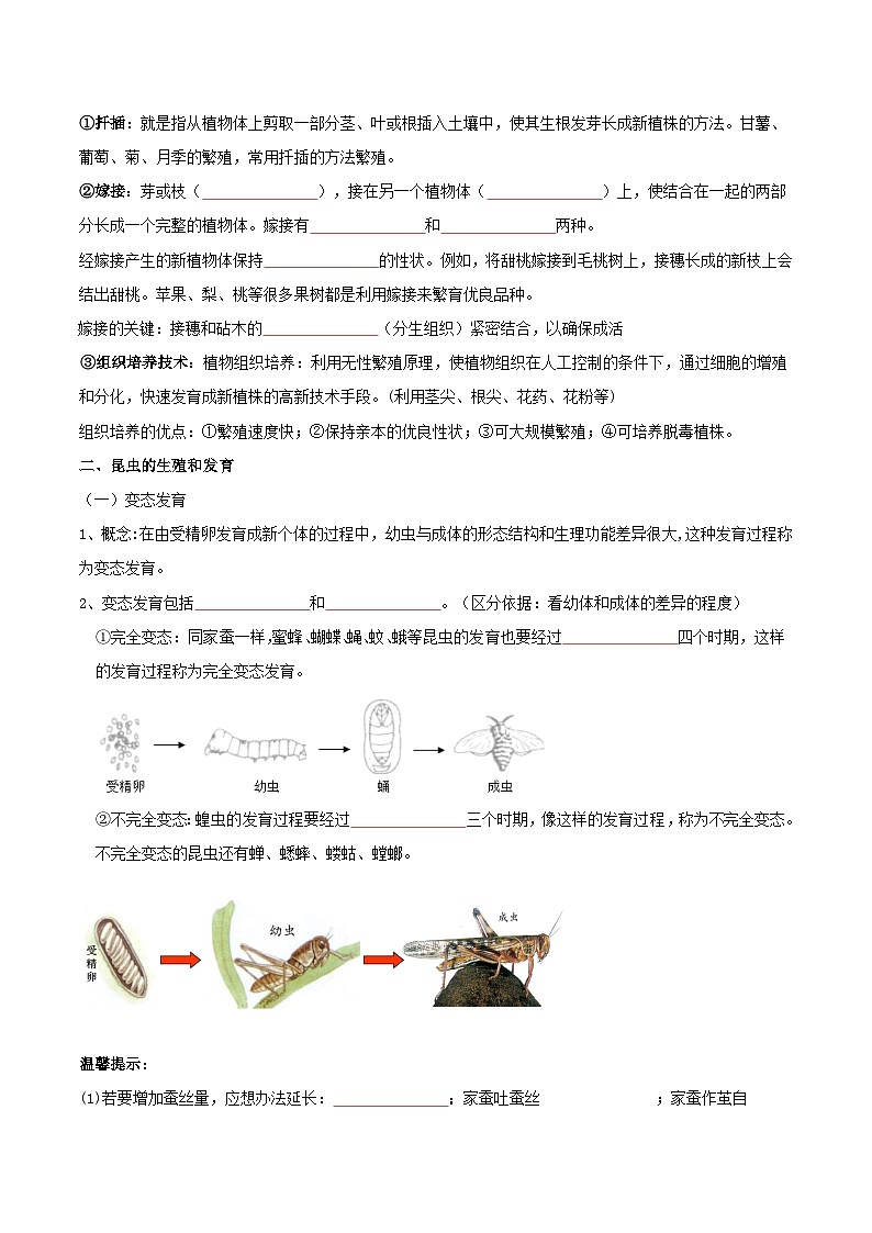 第一章 生物的生殖和发育——【期末复习】八年级生物章节知识点梳理（人教版八年级下册）02