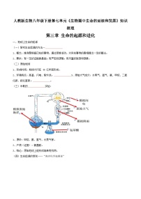 第三章 生命的起源和进化——【期末复习】八年级生物章节知识点梳理（人教版八年级下册）