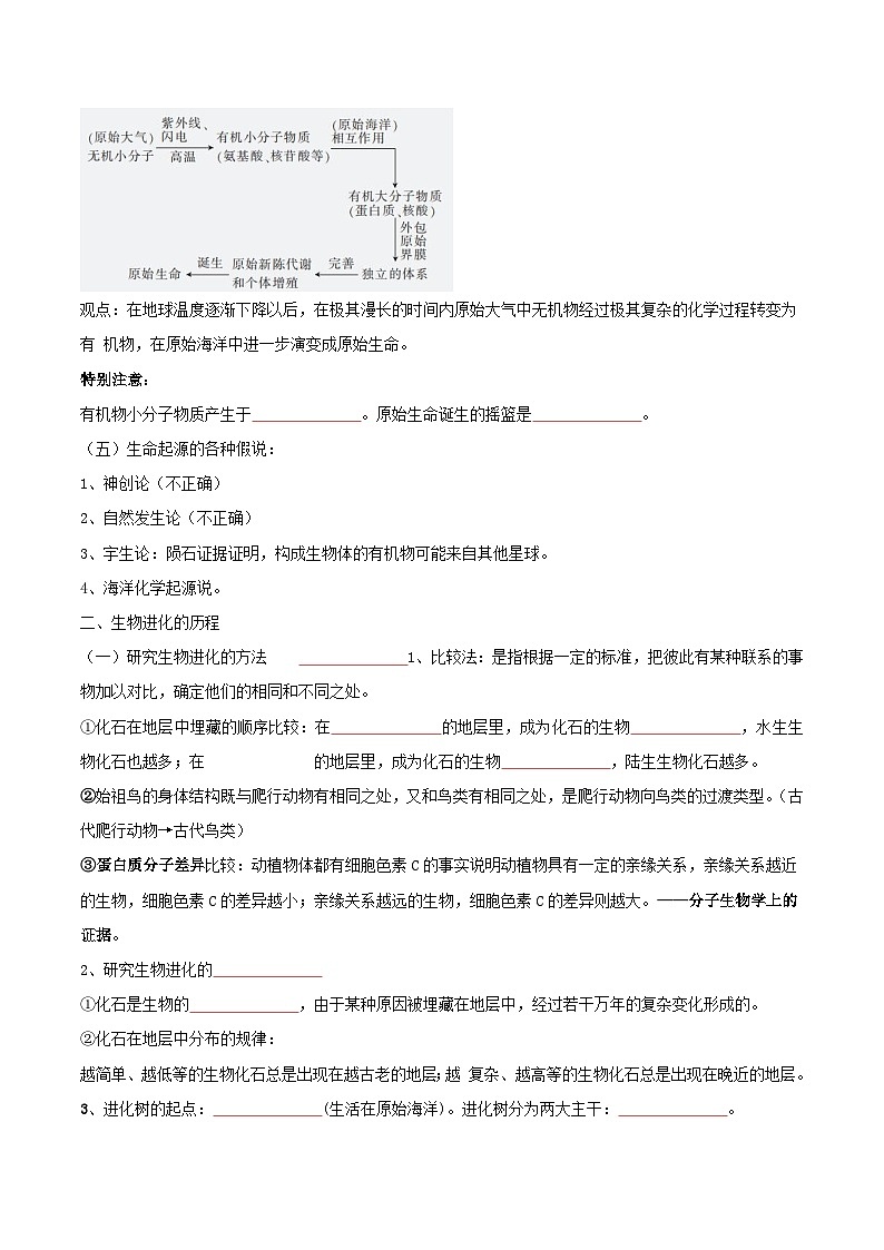 第三章 生命的起源和进化——【期末复习】八年级生物章节知识点梳理（人教版八年级下册）02