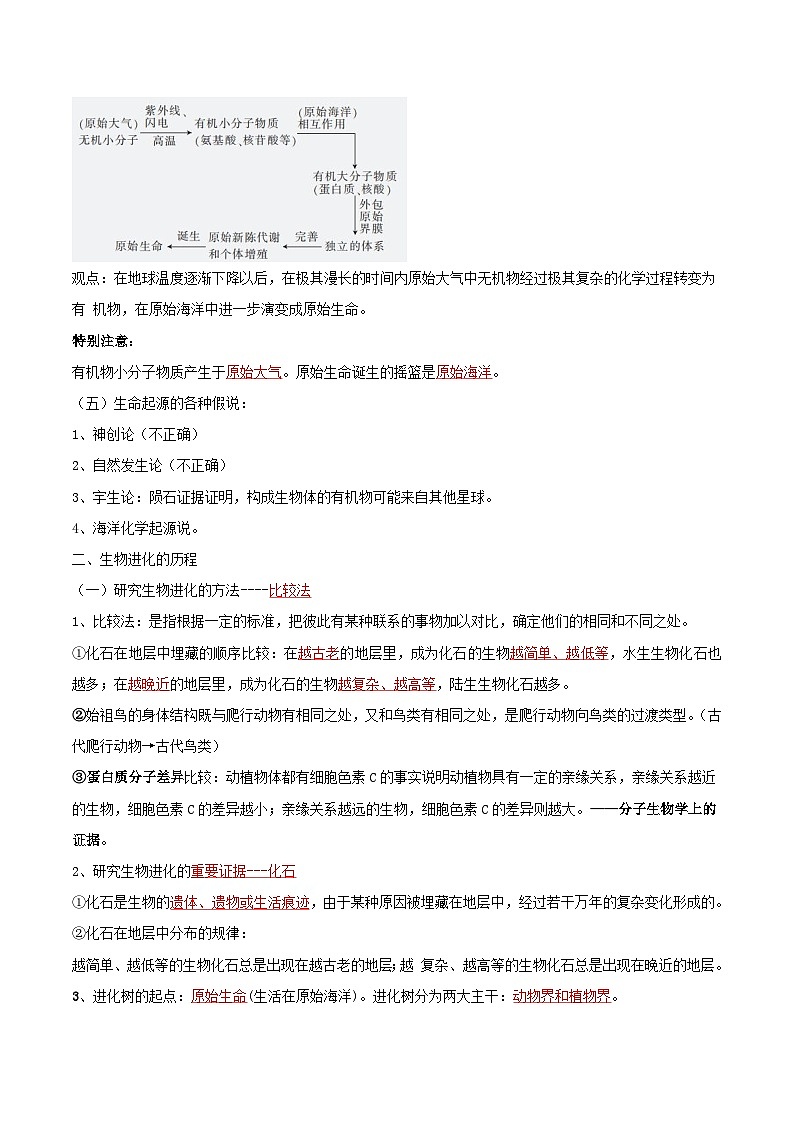 第三章 生命的起源和进化——【期末复习】八年级生物章节知识点梳理（人教版八年级下册）02