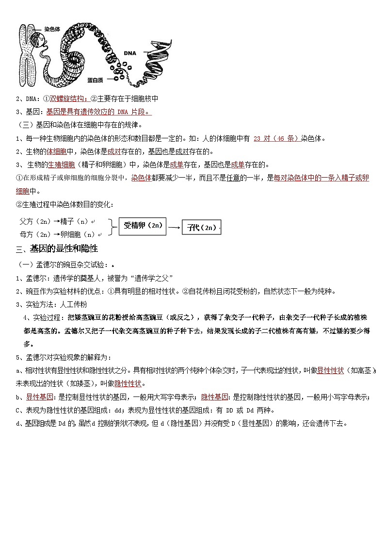 第二章 生物的遗传和变异——【期末复习】八年级生物章节知识点梳理（人教版八年级下册）02
