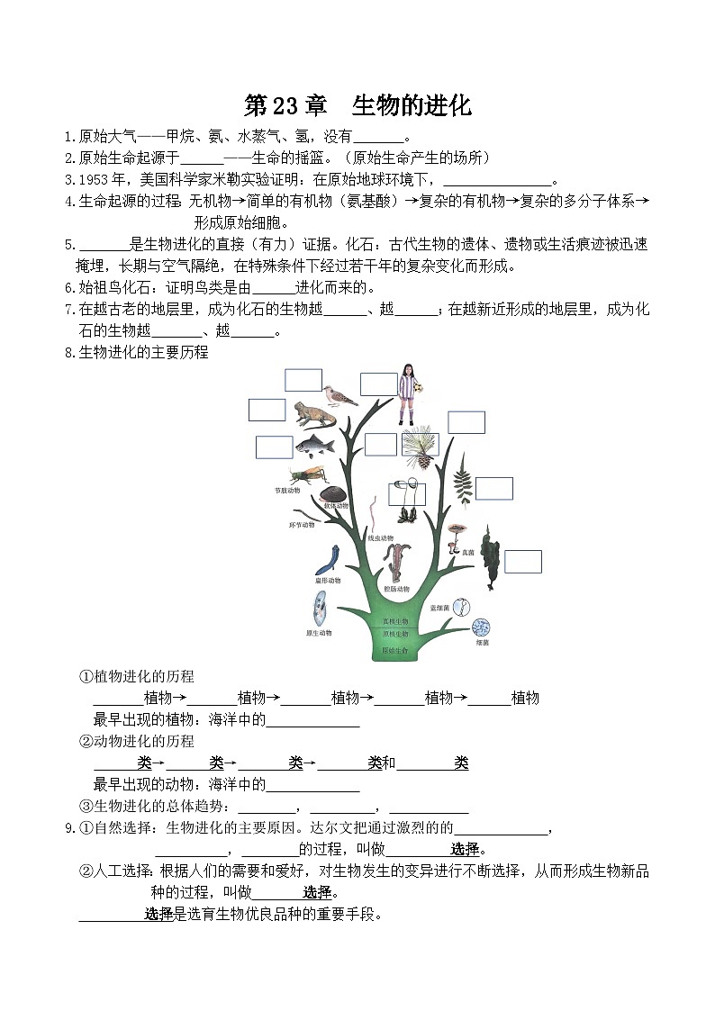 第23章 生物的进化——【期末复习】八年级生物下学期章节知识点梳理（苏科版）01
