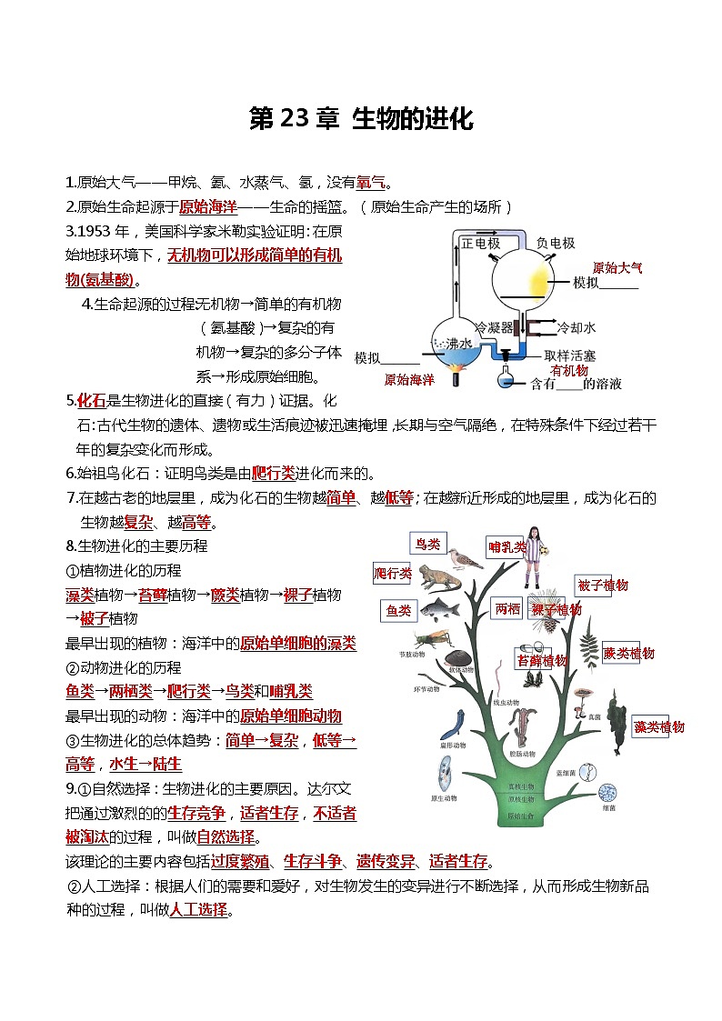第23章 生物的进化——【期末复习】八年级生物下学期章节知识点梳理（苏科版）01