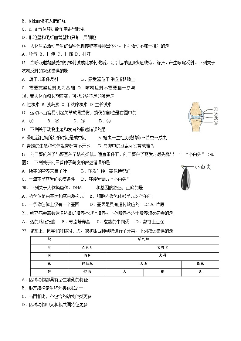 2023年北京石景山区初二二模生物试卷含答案解析03