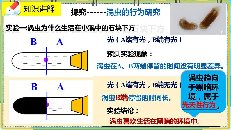 16.1《先天性行为和后天学习行为》课件06