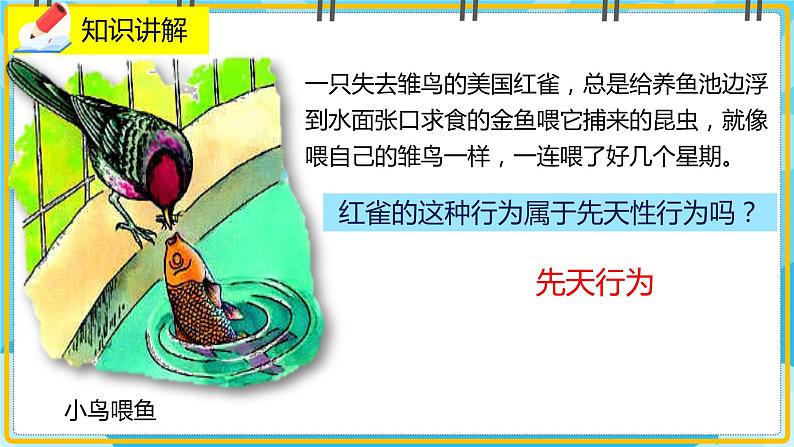 16.1《先天性行为和后天学习行为》课件08