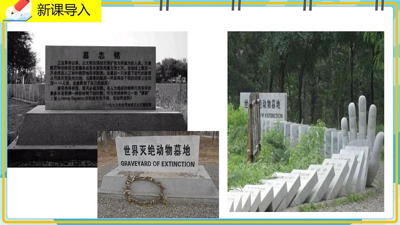 17.2《我国的动物资源及保护》课件第2页