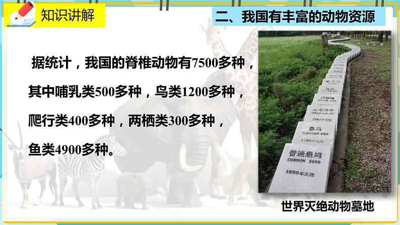 17.2《我国的动物资源及保护》课件第5页