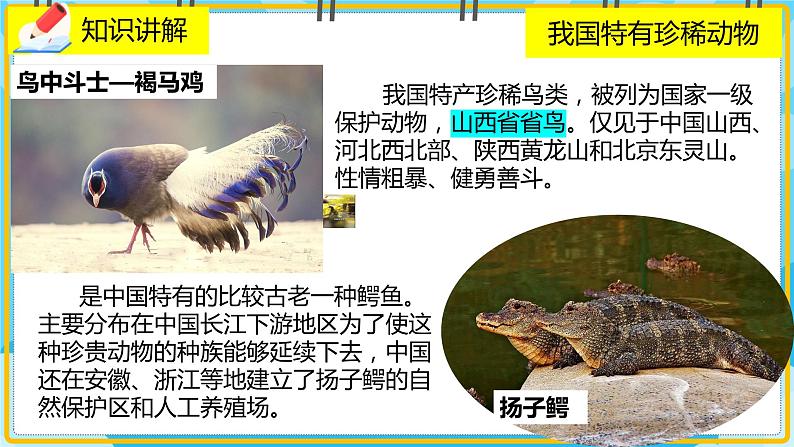 17.2《我国的动物资源及保护》课件第7页