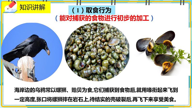 16.2《动物行为的主要类型》课件08