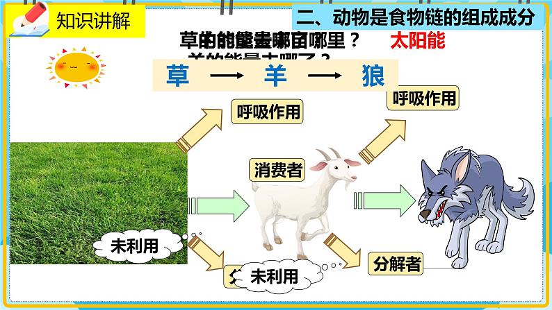 17.1《动物在生物圈中的作用》课件07