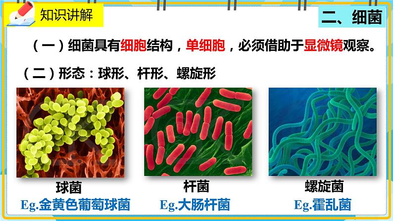 18.1.1《微生物在生物圈中的作用》课件04